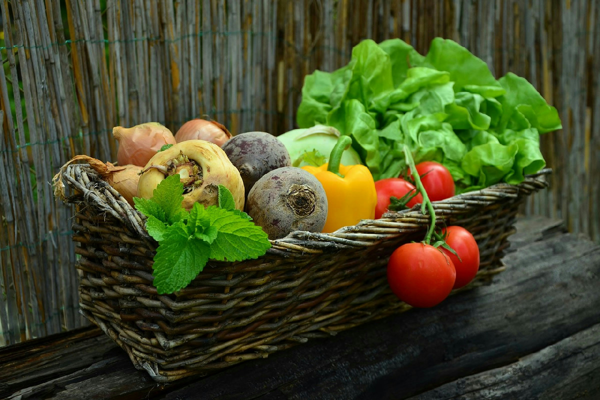 Verdure ideali da coltivare in balcone o giardino per un raccolto continuo a basso costo